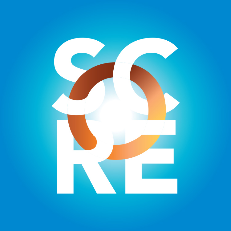 SCORElogo score