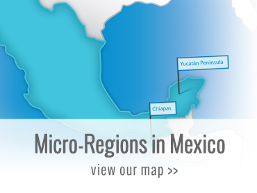 Dónde trabajamos en México, ver nuestro mapa