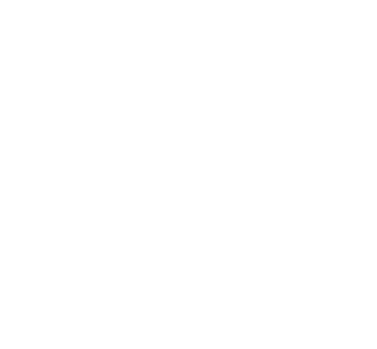W.K. Kellogg Foundation logo